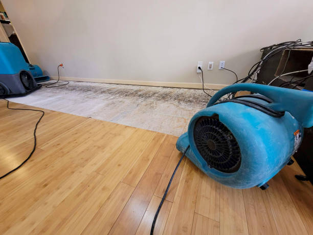 Professional Basement Flood Cleanup technician working in Waukesha, WI